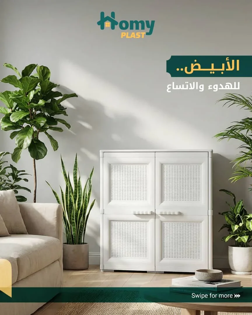 Cabinet 2 doors, 2 shelves